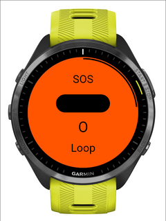 AMOLED screen (Forerunner 965)